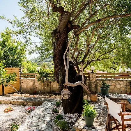 Dimitra Hébergement de vacances Alykanas (Zakynthos)